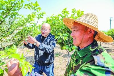 返乡创业 “新农人”把茉莉花种成“致富花”