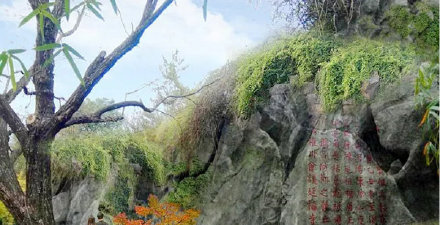 环城公园蜀山段假山将拆除重建 预计下半年开工